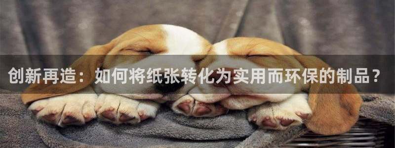 华润娱乐酶 92222