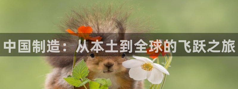 华润娱乐屡92222q