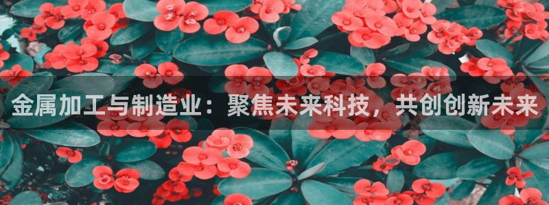 华润2娱乐