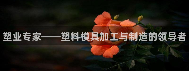 华润娱乐年