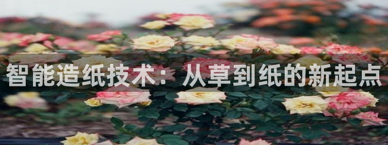 华润娱乐总管是谁呀老板