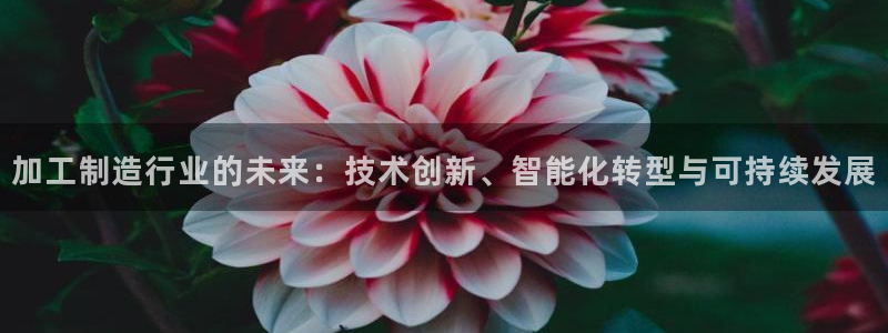 华润娱乐上