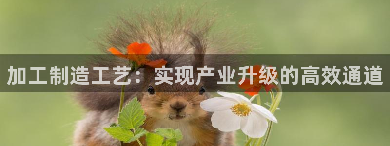华润娱乐在线