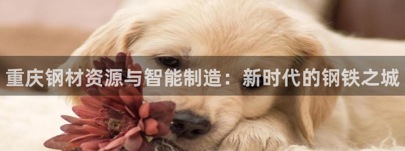 华润娱乐平台登录
