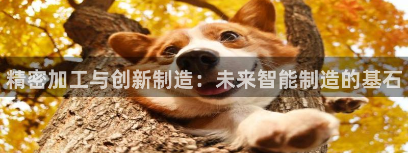 首页华润娱乐
