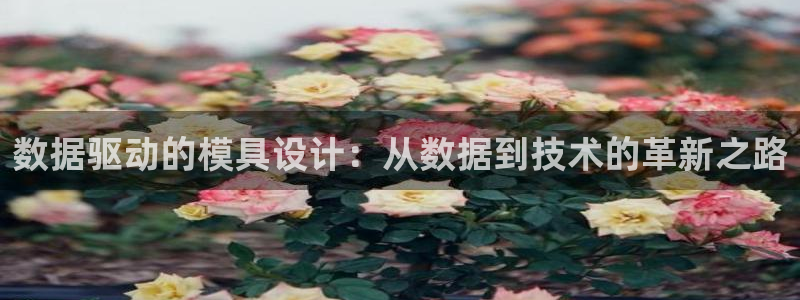 华润娱乐46996精确