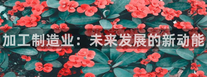 华润娱乐46996精确