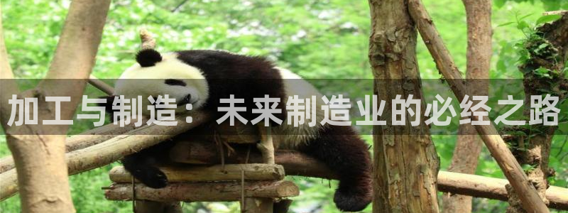 华润娱乐比92222