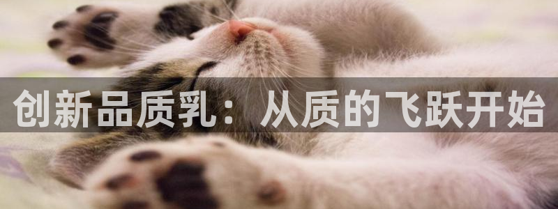华润娱乐找qv3822233