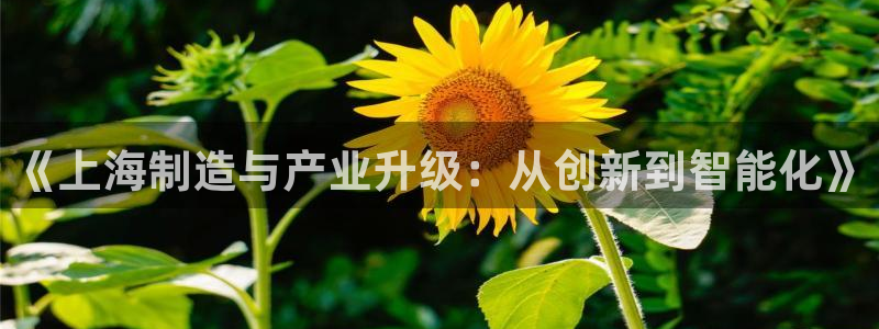 华润娱乐棋牌