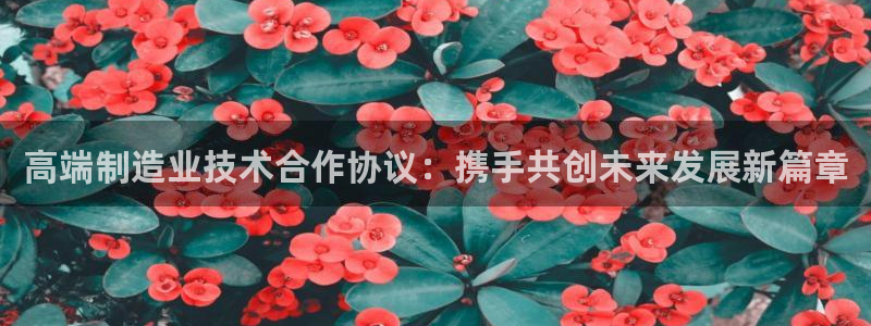 华润娱乐紫92222