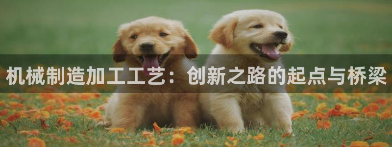 华润2娱乐注册