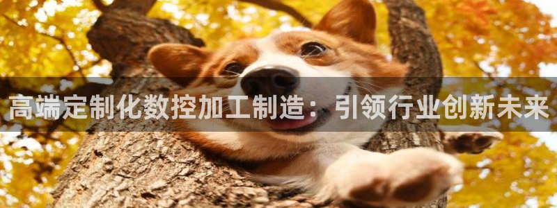 华润娱乐亿122222