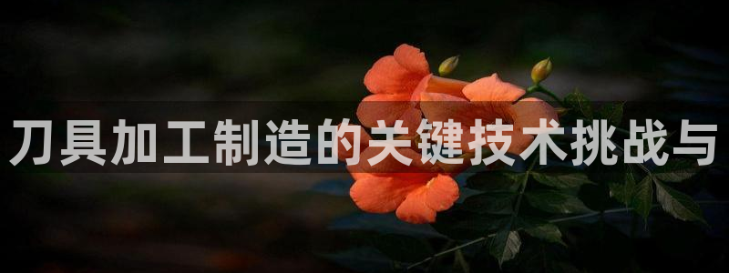 华润娱乐闪122222