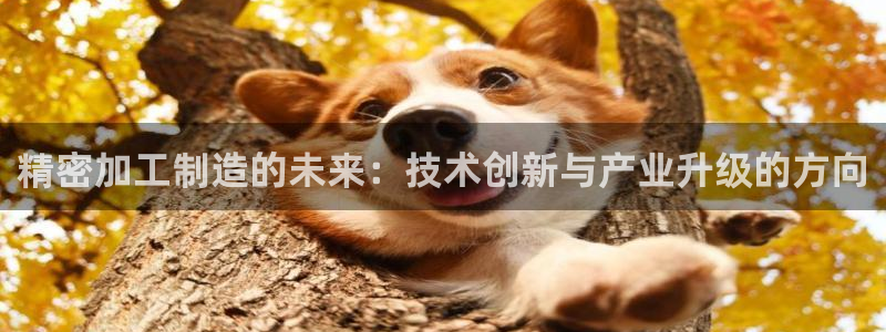 华润娱乐09a娱乐333OO