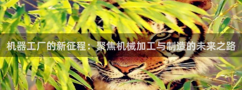 华润娱乐刣q675.138