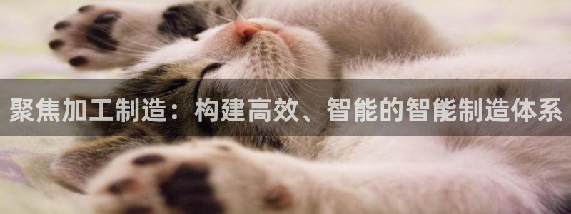 华润娱乐行580583
