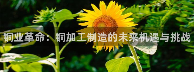 华润娱乐官网