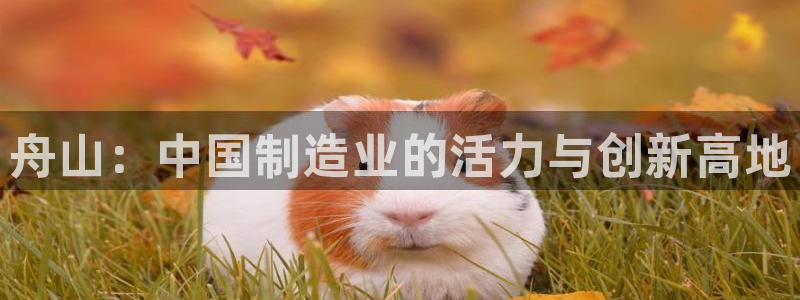 华润娱乐首122222