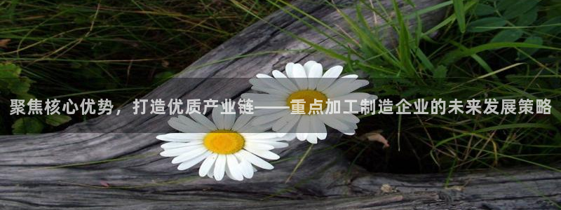 华润娱乐行政招聘官网