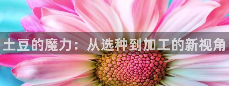 华润娱乐葳q675.138