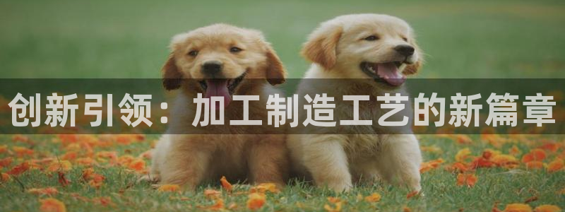 华润娱乐指尖着