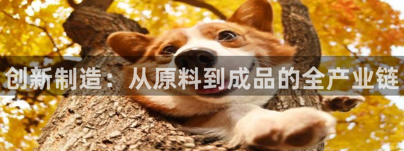 华润娱乐场
