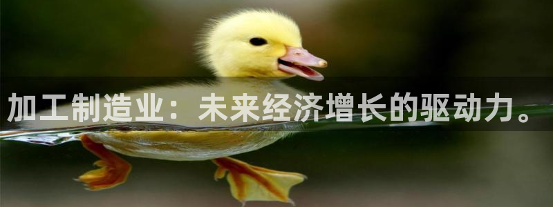 华润娱乐07c娱乐333OO