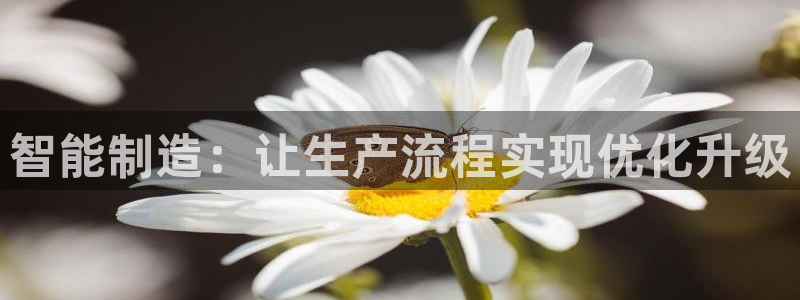 华润娱乐科技有限公司