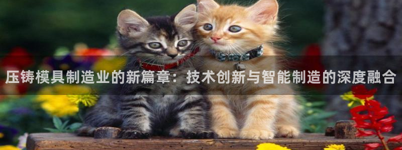 首页华润娱乐