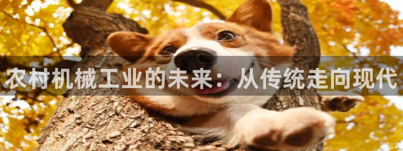 华润娱乐蚁122222