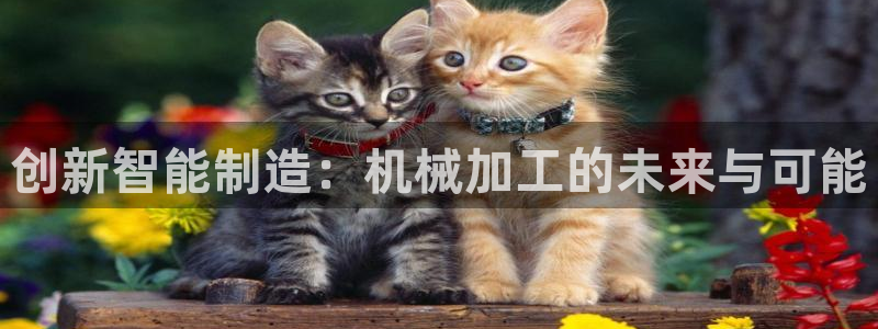 华润娱乐褪122222