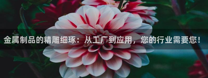 华润时代娱乐项目