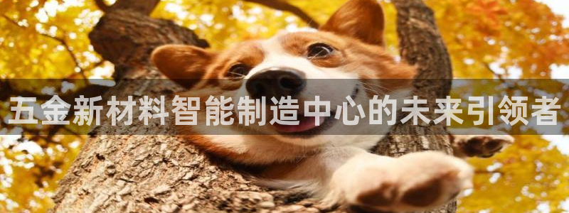 华润娱乐前5指尖