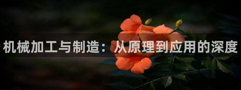 华润娱乐彩票平台app