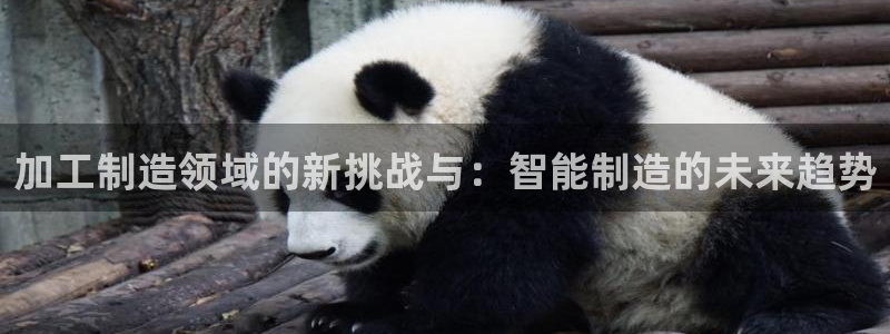 华润旗下娱乐产业有哪些